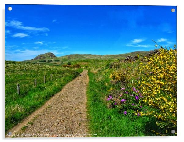 West Highland Way looking towards Dumgoyne Hill    Acrylic by yvonne & paul carroll