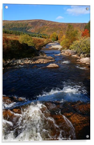 Glen Lyon in Autumn Acrylic by yvonne & paul carroll