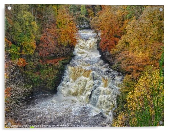 Autumn at Cora Linn Falls Acrylic by yvonne & paul carroll