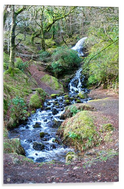babbling stream on Dartmoor Acrylic by Lynne Easton