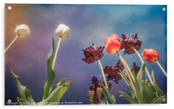 Tulips, tulips, tulips Acrylic by Susan Leonard