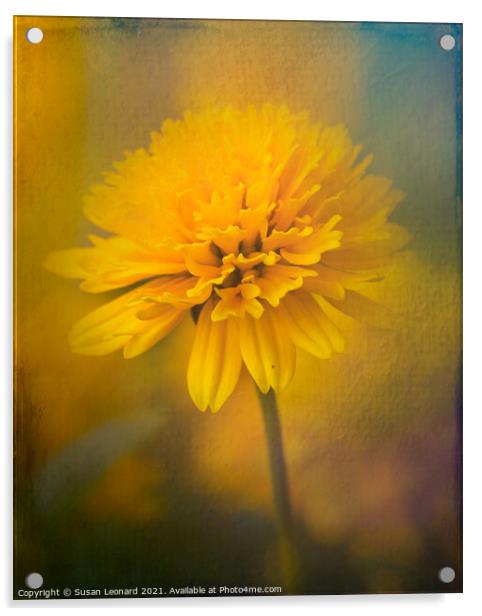 Golden Marigold Acrylic by Susan Leonard