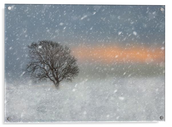Winter snow scene  Acrylic by Susan Leonard