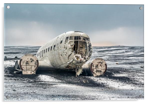 Abandoned plane Acrylic by Susan Leonard