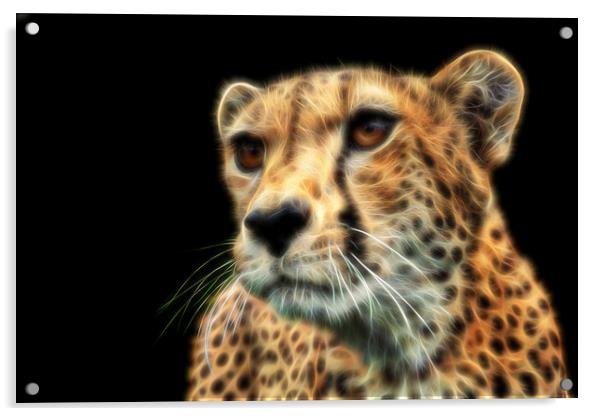 Cheetah Fractal Acrylic by Selena Chambers