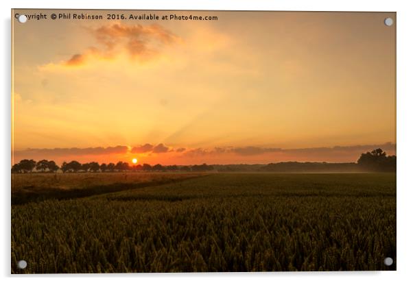 Sunrise on a stunning morning Acrylic by Phil Robinson