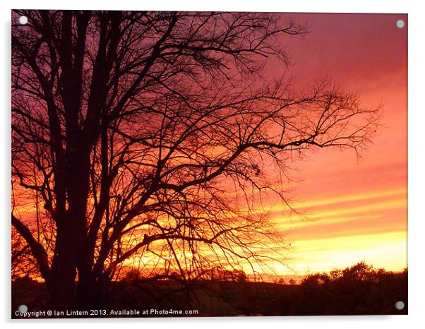 Somerset Sunset Acrylic by Ian Lintern