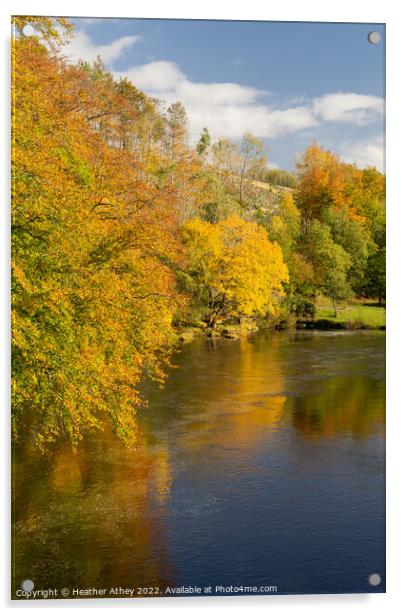 River South Tyne in autumn Acrylic by Heather Athey