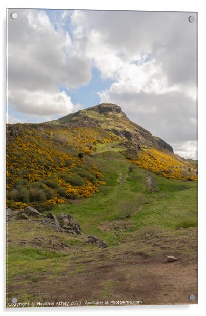 Sunshine of Arthur's Seat Acrylic by Heather Athey