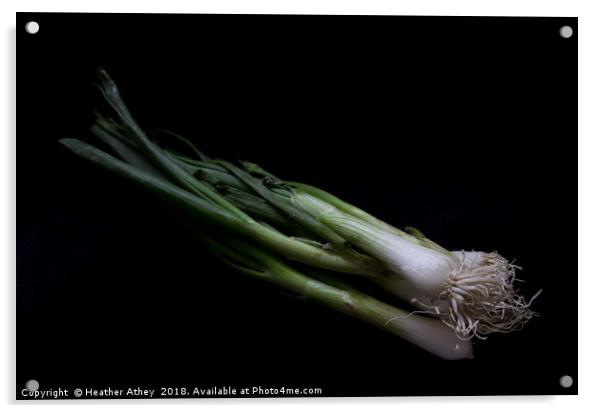 Spring onion Acrylic by Heather Athey