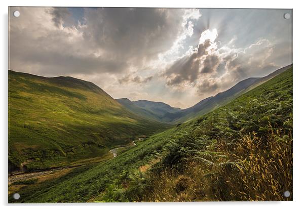 Coledale Acrylic by Phil Tinkler