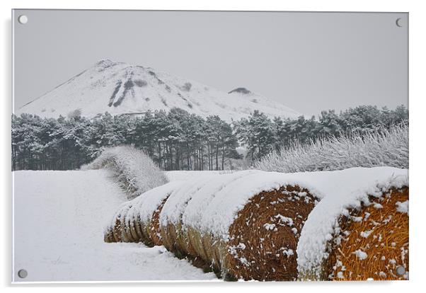 Hay amongst the snow Acrylic by andrew pearson