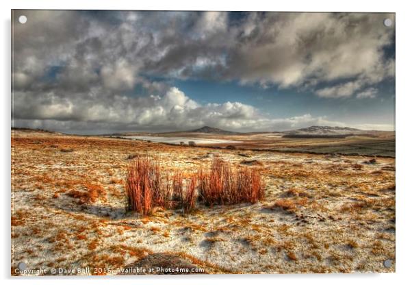 Bodmin Moor Snow Acrylic by Dave Bell