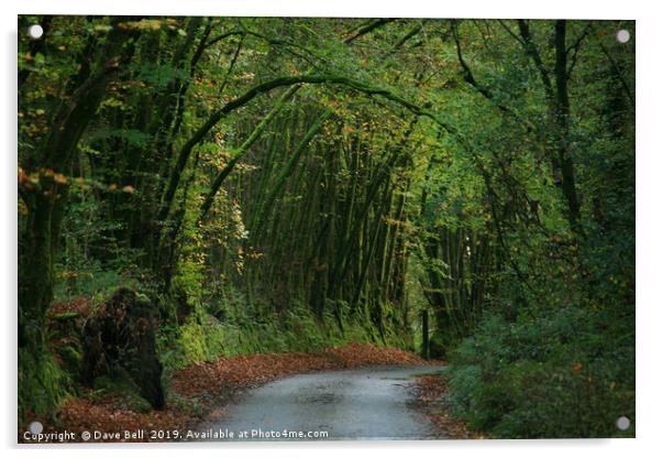 Autumn in England Acrylic by Dave Bell