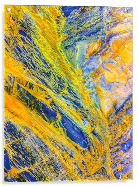 Yellow Veins Acrylic by Dave Bell
