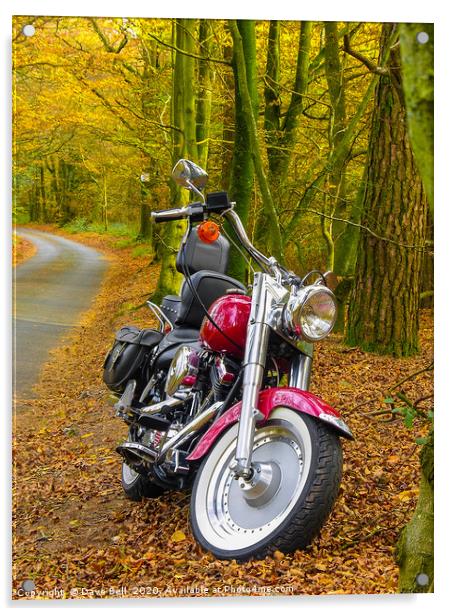 Autumn Harley Acrylic by Dave Bell