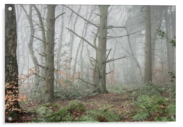 Misty winty woodland in North York Moors, Yorkshire Acrylic by Martin Williams