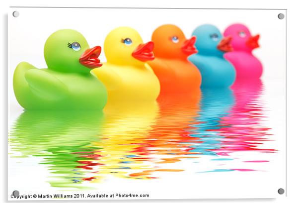 Rainbow Ducks Acrylic by Martin Williams
