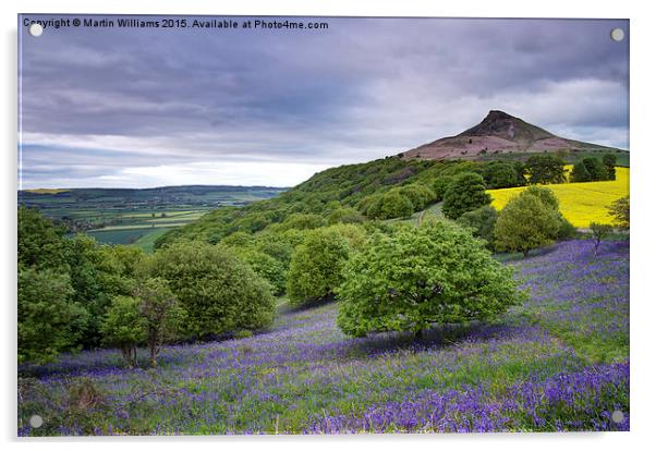 Bluebells at Roseberry Topping Acrylic by Martin Williams
