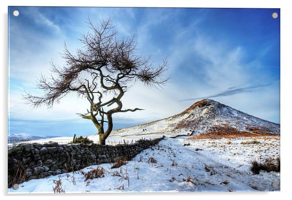 Winter at Roseberry Topping, North Yorkshire Acrylic by Martin Williams