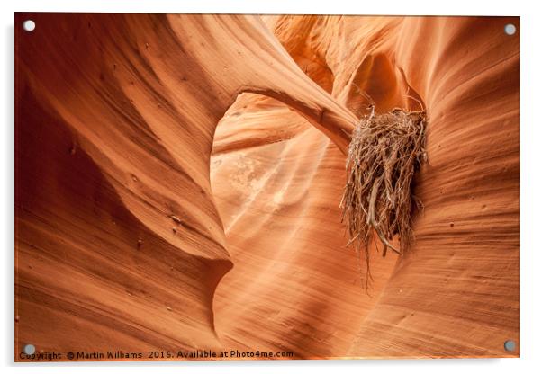 Rattlesnake Canyon, Page, Arizona Acrylic by Martin Williams