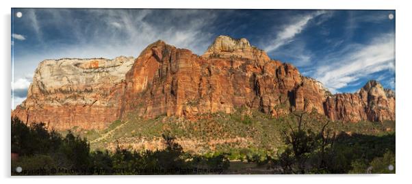 Zion National Park, Utah Acrylic by Martin Williams