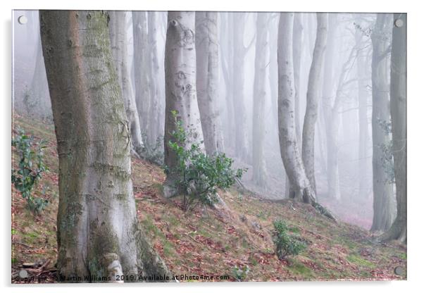 Misty Wood Acrylic by Martin Williams