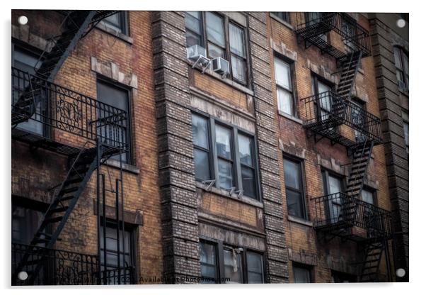Fire escapes in New York, USA, US Acrylic by Martin Williams