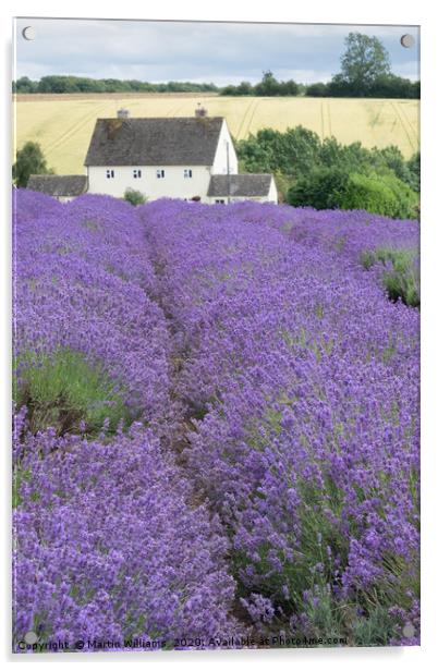 Cotswolds Lavender Farm, a tourist attraction in W Acrylic by Martin Williams