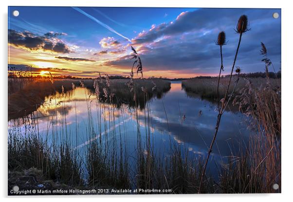 Reeds & Reflections Acrylic by mhfore Photography