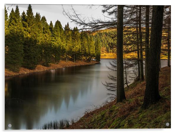 ....just some trees and water Acrylic by Jonathan Parkes