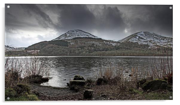 January on Loweswater Acrylic by Cheryl Quine