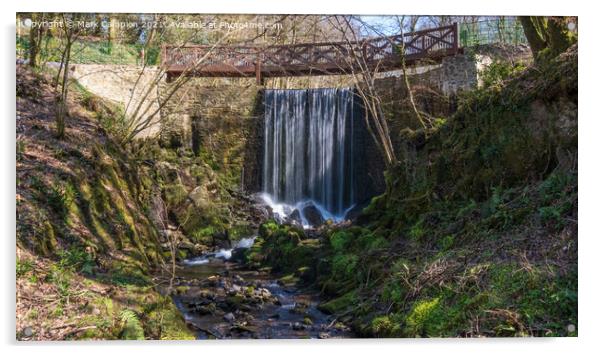 National Botanic Garden of Wales Woodland Waterfall  Acrylic by Mark Campion