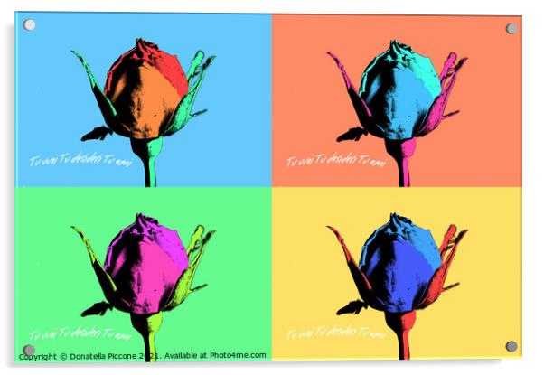 Four coloured rosebuds, boccioli di rosa colorati Acrylic by Donatella Piccone