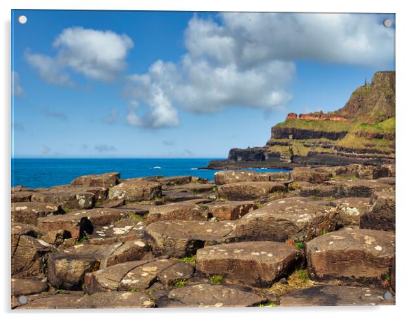 The Giants Causeway Acrylic by Mark Llewellyn