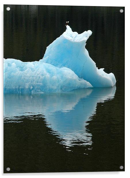 Iceberg with Eagles Acrylic by Mark Llewellyn