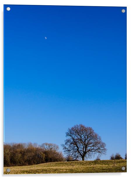 Blue Sky Day Acrylic by Mark Llewellyn