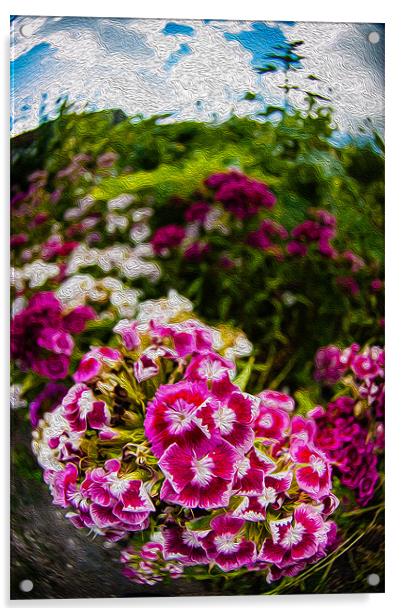 Pink Flowers Acrylic by Mark Llewellyn