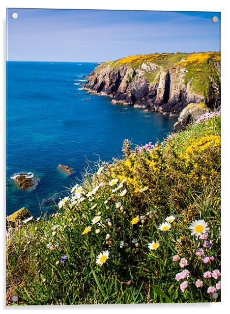 St Nons Bay, Pembrokeshire, Wales, UK Acrylic by Mark Llewellyn