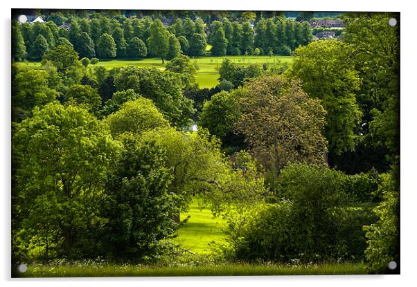 Donnington Grove, Newbury, Berkshire, England, UK Acrylic by Mark Llewellyn