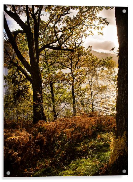 Loch Garry, Scotland, UK Acrylic by Mark Llewellyn