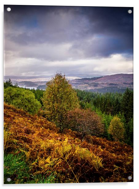 Loch Loyne, Scotland, UK Acrylic by Mark Llewellyn