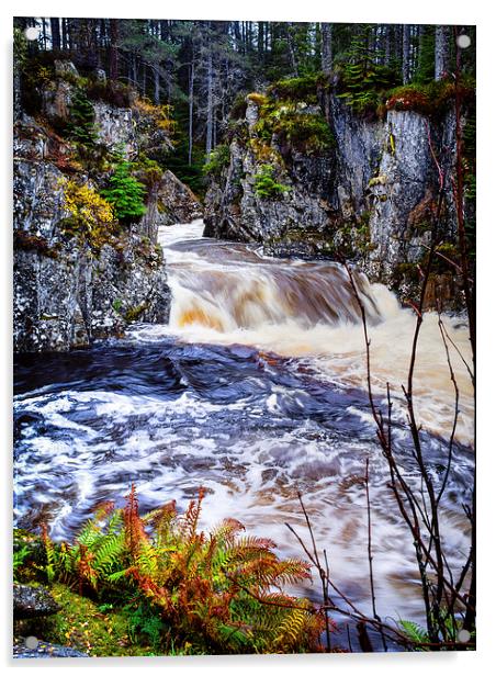 Laggan Falls, Scotland, UK Acrylic by Mark Llewellyn