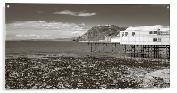 Royal Pier, Aberystwyth, Gwynedd, Wales, UK Acrylic by Mark Llewellyn