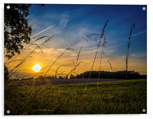 Summer Sunset, Hungerford, Berkshire, England, UK Acrylic by Mark Llewellyn