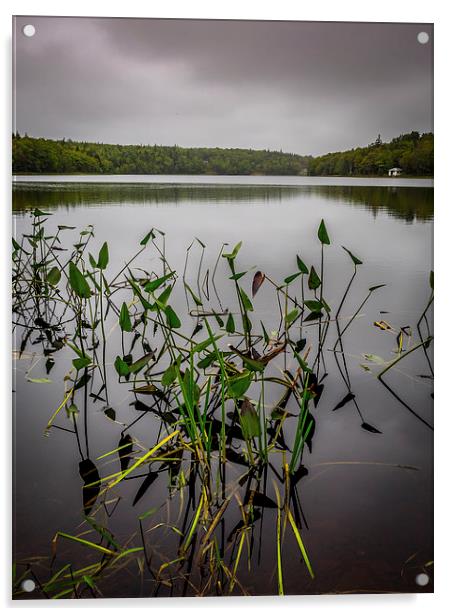 Sisters Lake, Yarmouth, Nova Scotia, Canada Acrylic by Mark Llewellyn