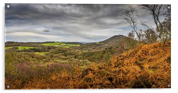 Wrekin View, Telford, Shropshire, England, UK Acrylic by Mark Llewellyn