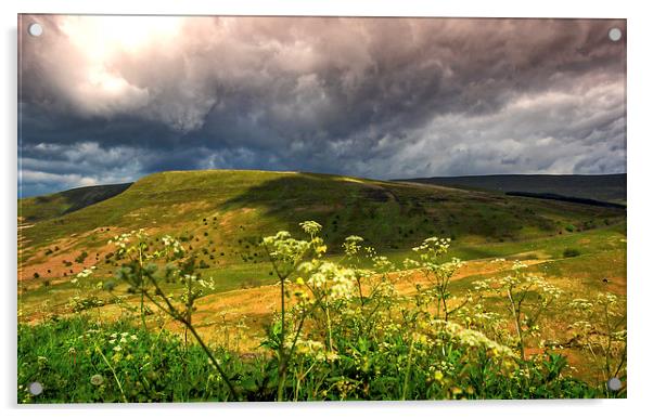 Brecon Beacons, Wales, UK Acrylic by Mark Llewellyn