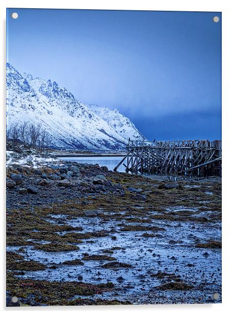Arctic Jetty, Lofoten, Norway Acrylic by Mark Llewellyn