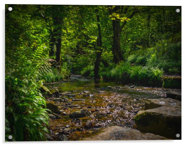 Aberfforest Stream and Glen, Pembrokeshire, Wales, Acrylic by Mark Llewellyn